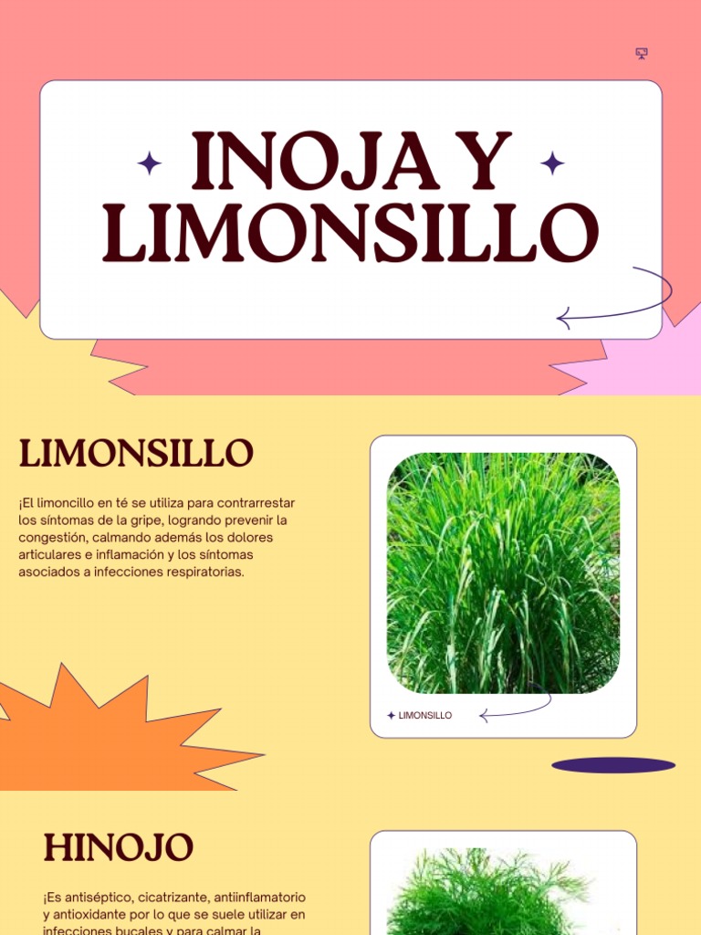 INOJA | PDF