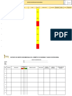 Inspección de Seguridad