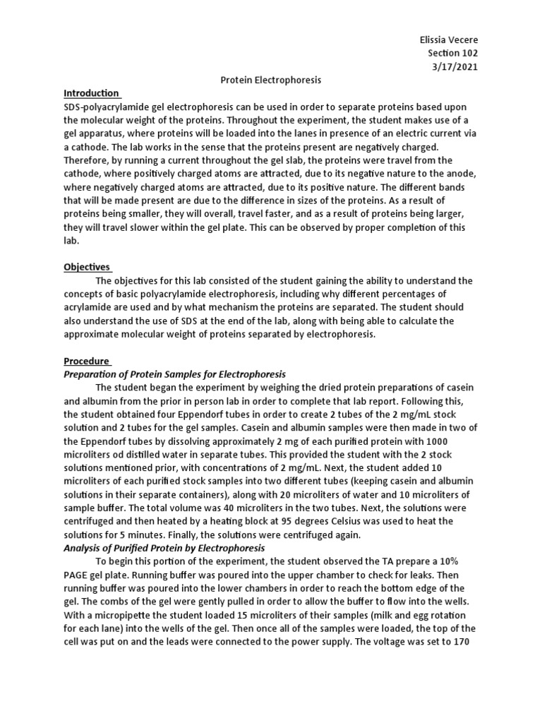 Protein Electrophoresis PDF Gel Electrophoresis Polyacrylamide