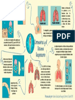 Coronavirus y El Sistema Respiratorio