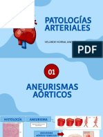 PATOLOGÍAS ARTERIALES /Autor:ANDRE VELARDE