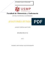 Practica 10.docx Anatomia