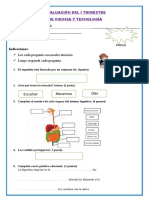 I EVALUACÍON TRIMESTRAL DE Ciencia y Tecnologia