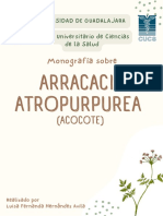 Arracacia Atropurpurea