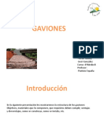 Gaviones 2