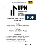 Caso Camisas Cali - Trabajo Grupal Parcial. Nrc10527