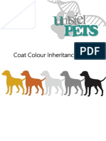 Coat Colour Genetics