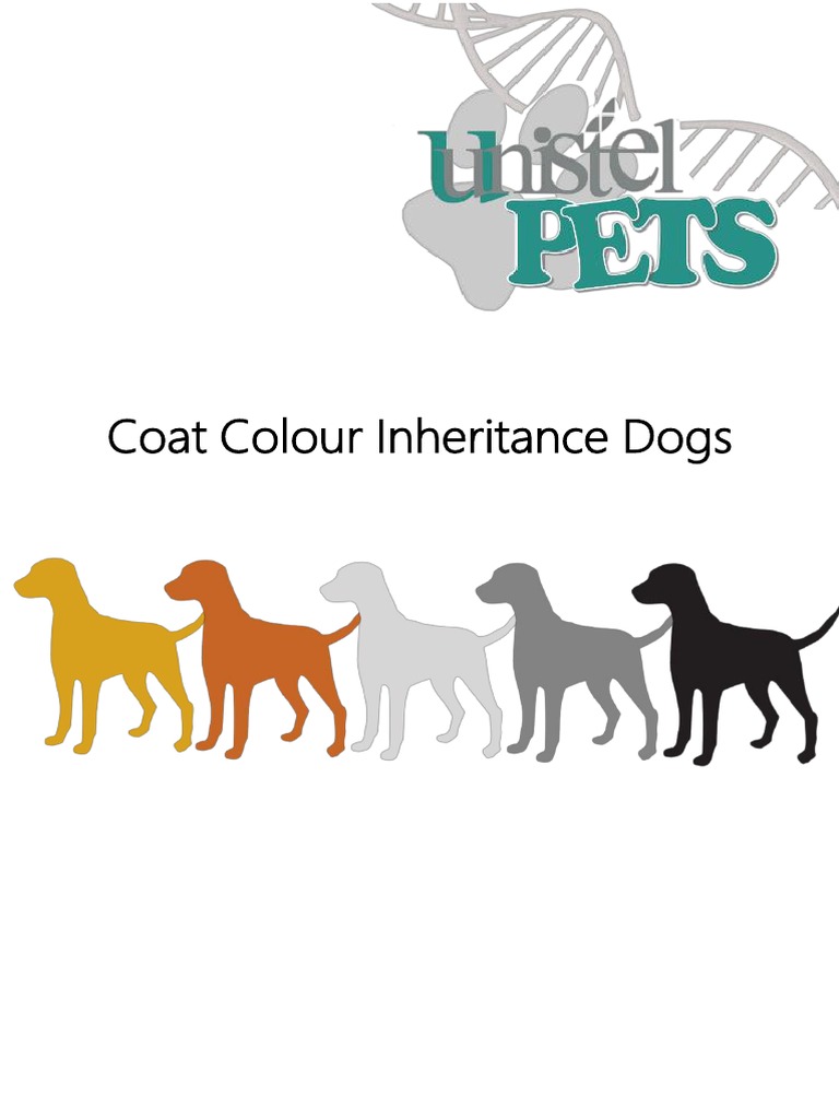 Coat Colour PDF Dominance Allele