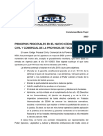 PCCIOS PROCESALES Nvo Código