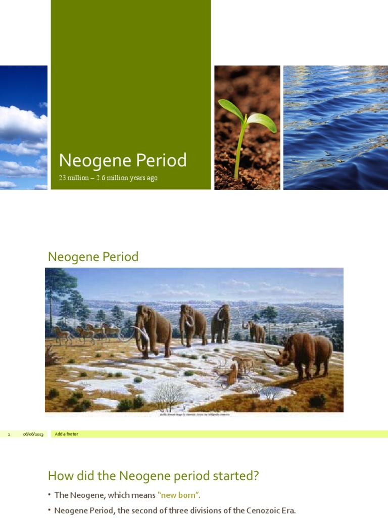 the chemical makeup of earth's atmosphere during the neogene period