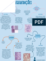 Sabrina Santos-PSD2 Quadro Degenerações Unit1