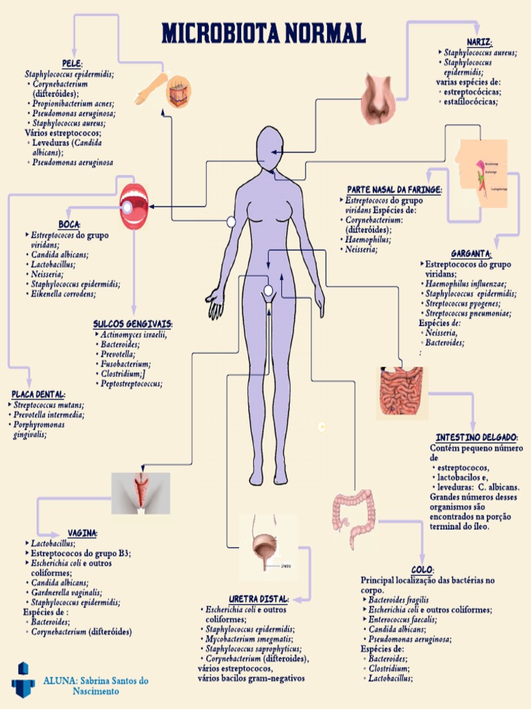 Microbiota Normal do Corpo Humano | PDF | Microbiologia | Organismos