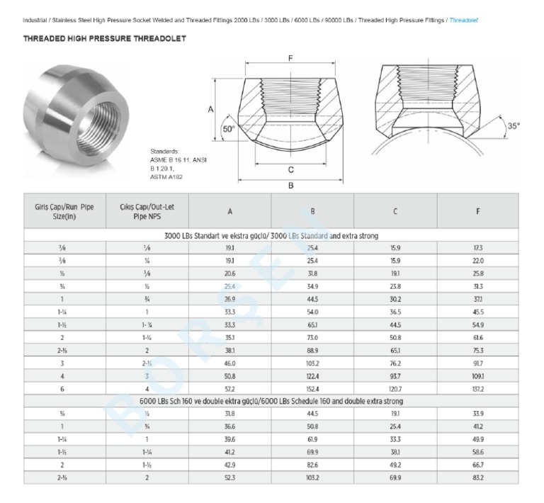 Threadolet Catalogue | PDF