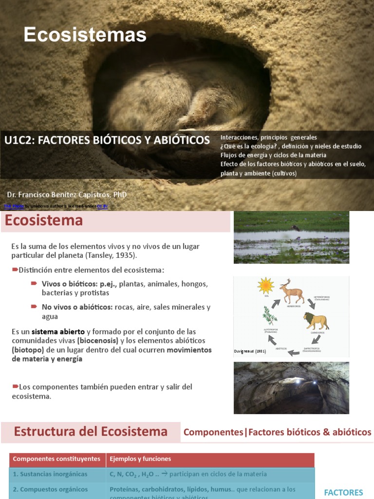 U1C2_Factores Bioticos y Abiotico | PDF | Ecología | Nitrógeno