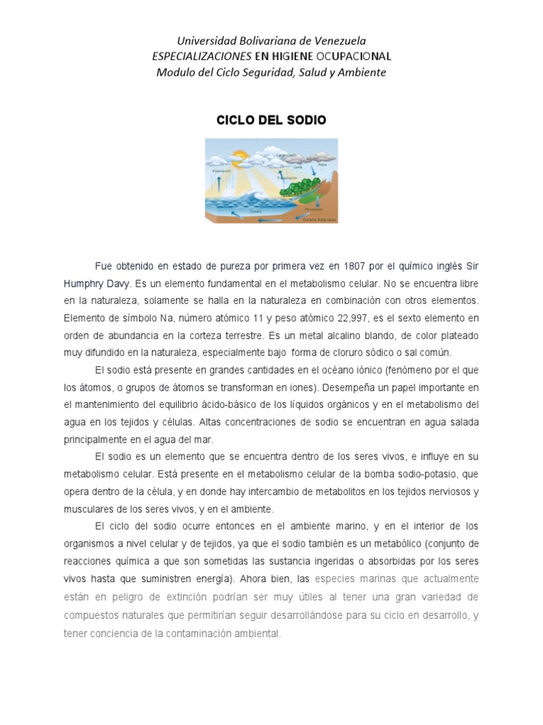 Importancia del Ciclo del Sodio | PDF | Sodio | Agua