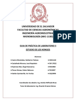 Universidad Complutense de Madrid | PDF | Protozoos | Microscopio