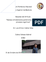 Núcleos Intralaminares Posteriores Del Tálamo y Procesos Cognitivos