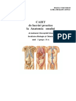 Caiet-12-Lucrari-practice-Anatomia-omului-Irina Glavațchii 23 A