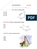 Trabalho Pitágoras