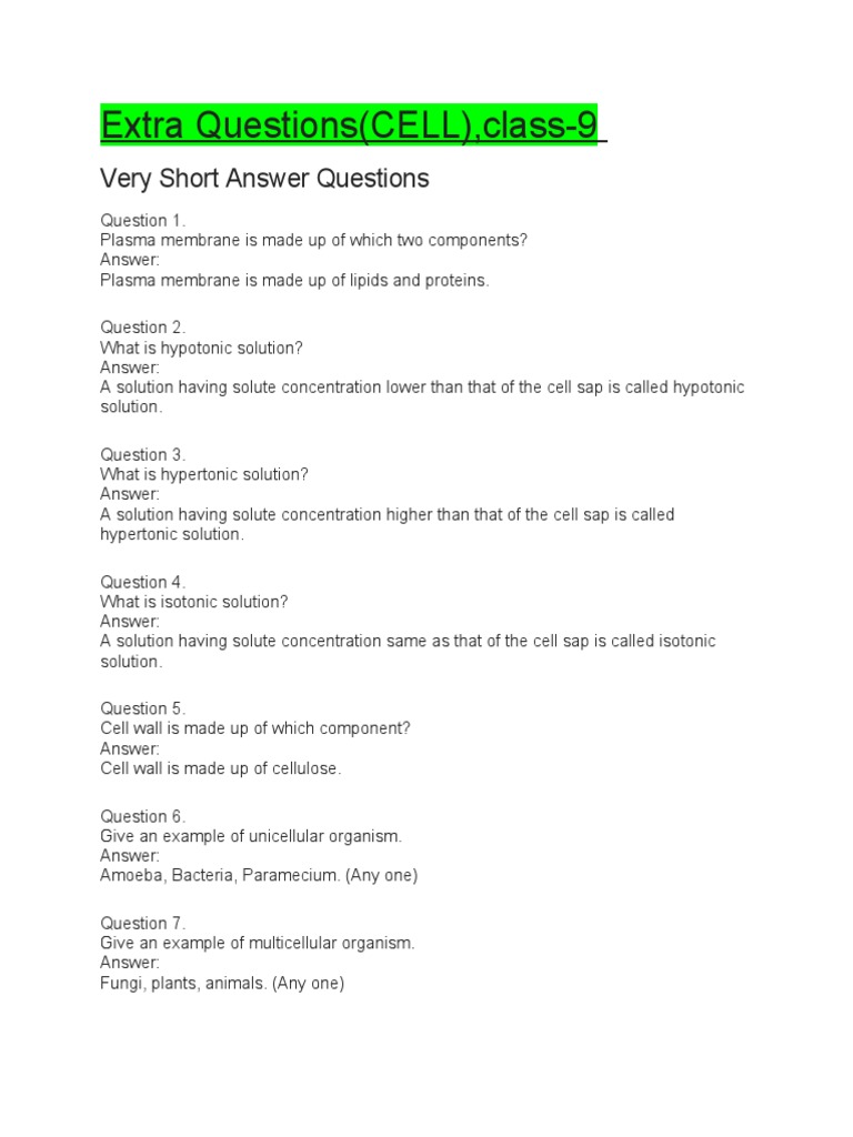 What Was Directory Class 9 Short Answer