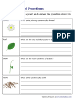 Functions of Parts of Plants