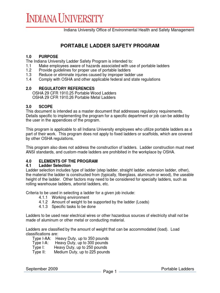 Portable Ladder Safety Program 09 | PDF | Ladder | Occupational Safety ...
