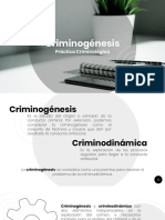 Criminogénesis