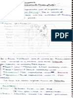 Chapter 2 Sexual Reproduction in Flowering Plants.