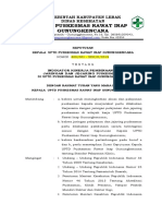 SK Indikator Kinerja Pembinaan Jaringan Pelayanan Dan Jejaring Puskesmas