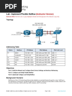 24.1.4 Lab - Implement Flexible Netflow - ILM