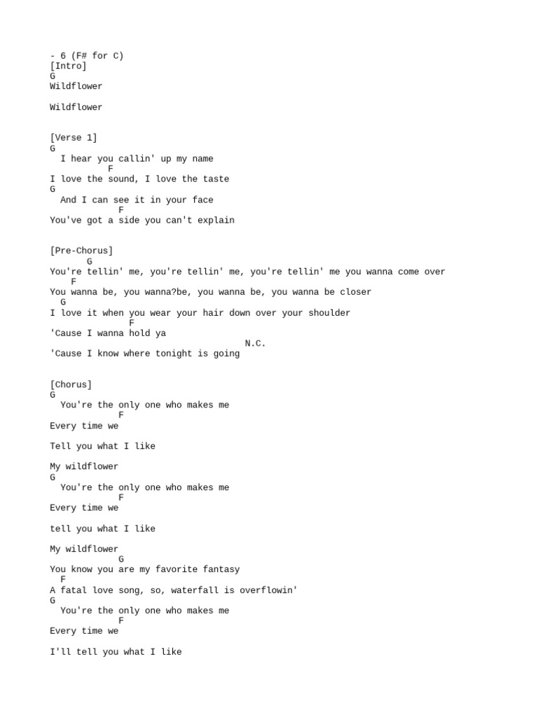 5 Seconds of Summer Wildflower PDF Song Structure Songs