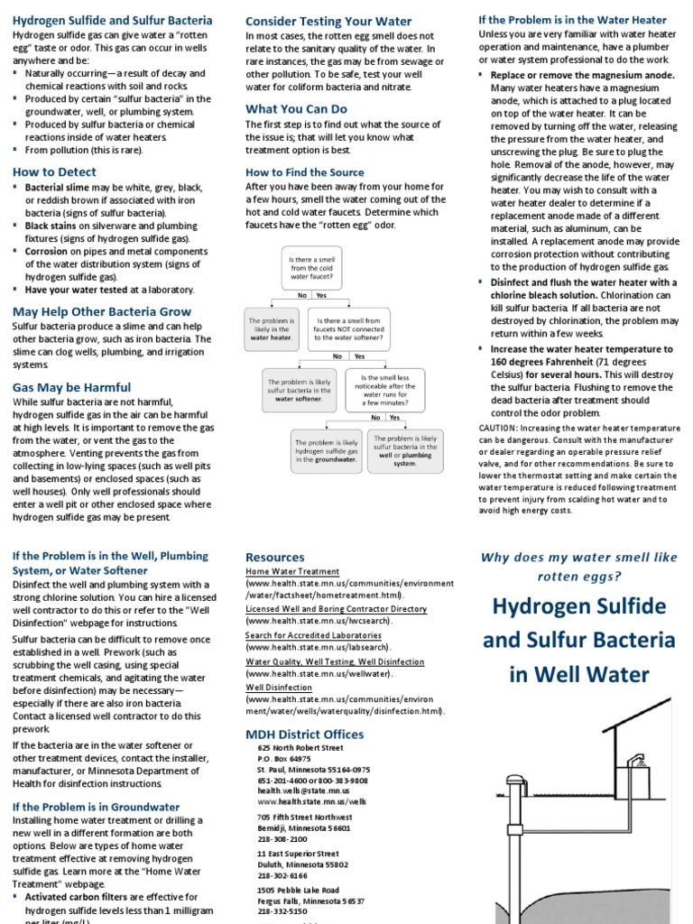 Hydrogen Sulfide and Sulfur Bacteria in Well Water PDF Water Sulfur