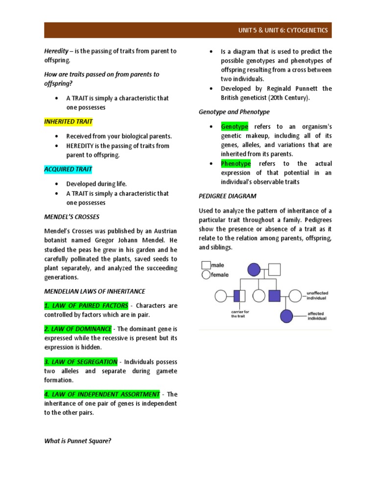 CYTOGENETICS Notes | PDF | Genetic Disorder | Genotype