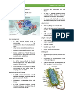 Normal Cell Structure