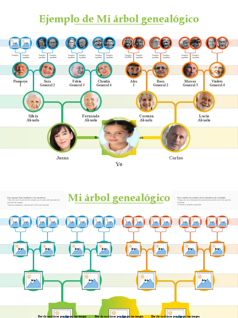 Árbol Genealógico Editable PDF