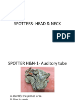 5.head and Neck Gross Spotters