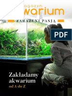 Zakladamy Akwarium