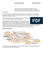 Biología Actividades Completas para 4to Año