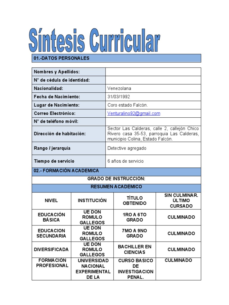 Plantilla Para Elaborar Sintesis Curricular
