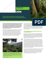 2020 Program Deforestation Esp