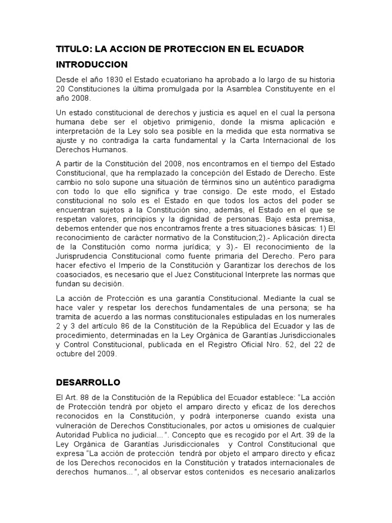 Acción de Protección en Ecuador: Garantías Constitucionales | PDF ...