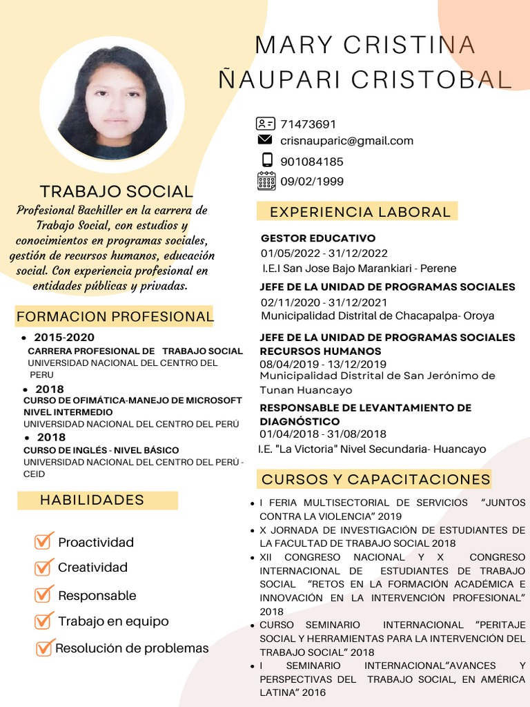 Perfil Profesional de Trabajo Social | PDF | Trabajo Social