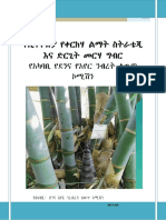 Bamboo Strategy Translation - Final - 3032021