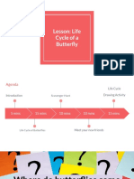 Lesson Plan 1 Life Cycle of A Butterfly 6tpsvve