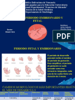 Tema 45 Período Embrionario y Fetal