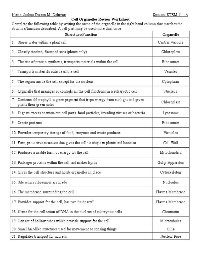 Deloviar Cell Organelle Review Worksheet 1 | PDF | Cell (Biology 