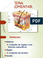 Sistema Tegumentar