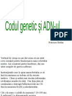 ADN p2