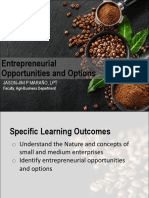 2.1 Entrepreneurial Opportunities and Options