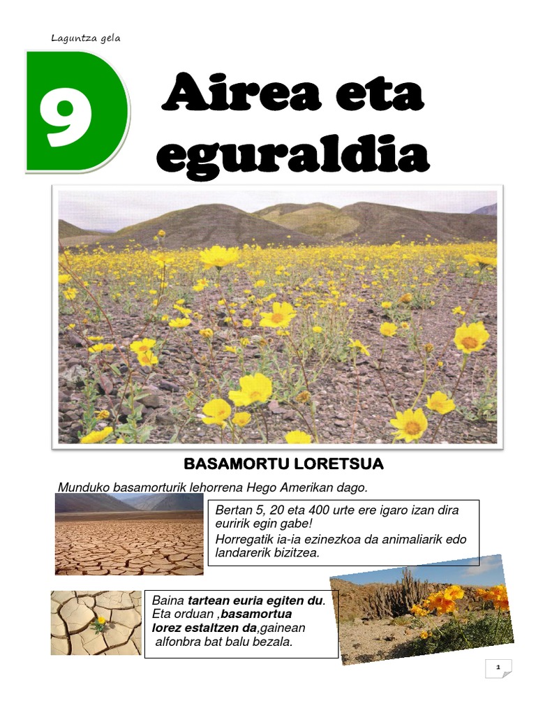 9 Aireaetaeguraldiazubiasantillana 130302172854 Phpapp02 | PDF